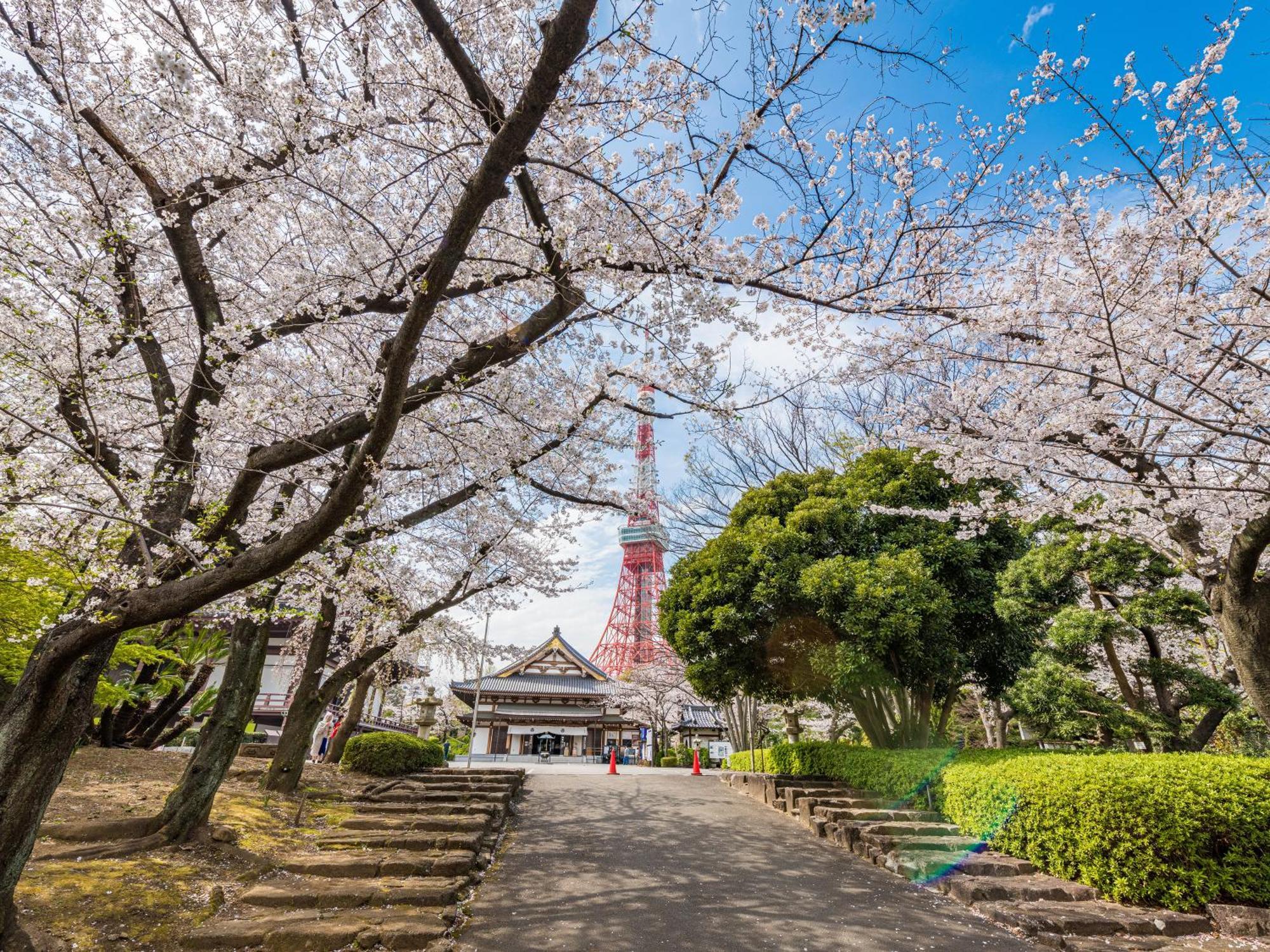 Illi Surp Shiba-Park Hotell Tokyo Eksteriør bilde